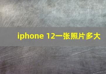 iphone 12一张照片多大